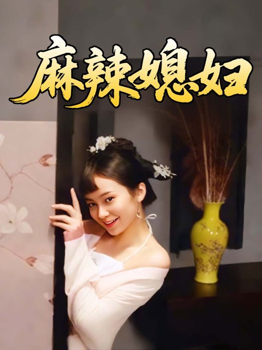 麻辣媳妇封面