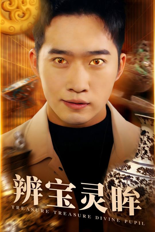 辨宝灵眸封面