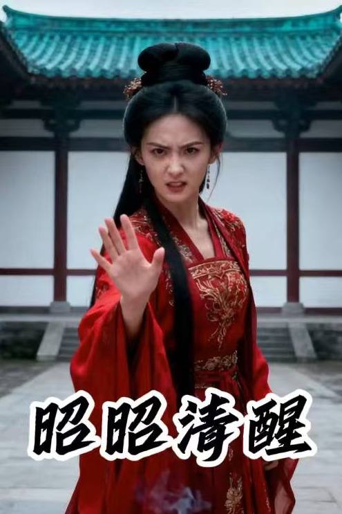 昭昭清醒封面