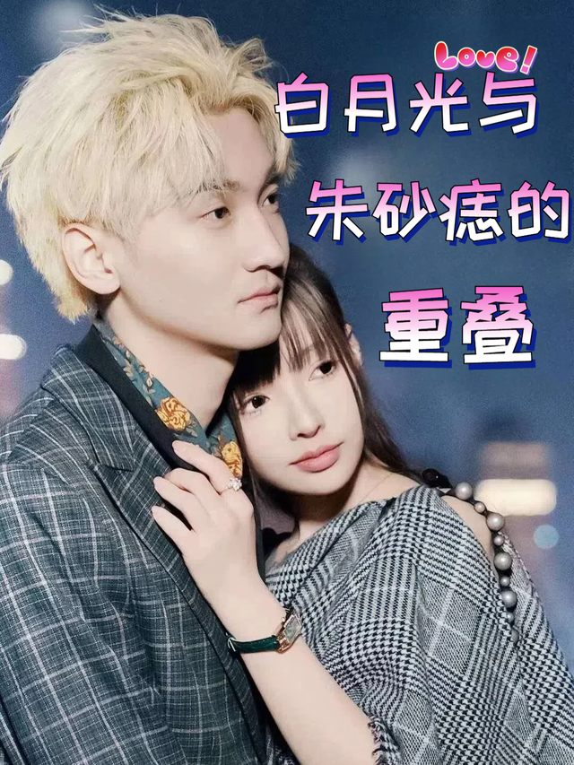 白月光与朱砂痣的重叠封面