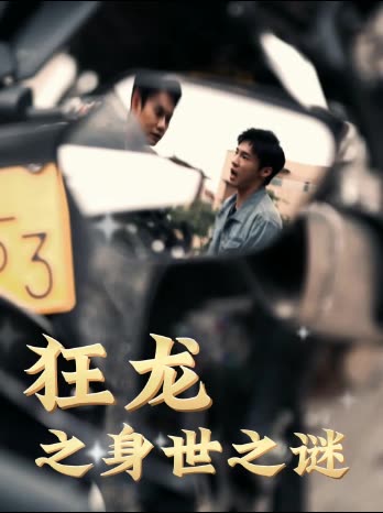 狂龙之身世之谜封面