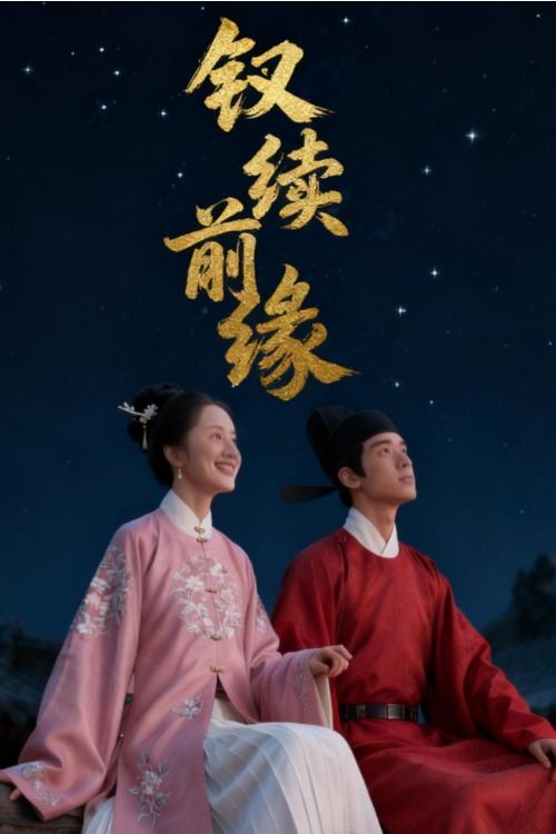 钗续前缘封面
