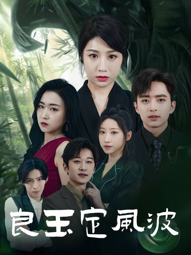 良玉定风波封面