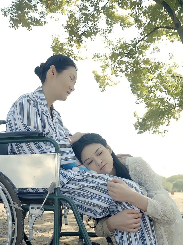 愿你白发亦晴朗封面