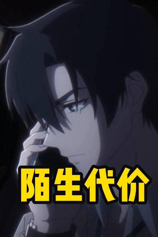 陌生代价封面