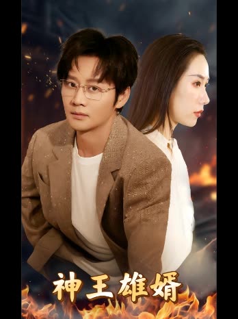 神王雄婿封面