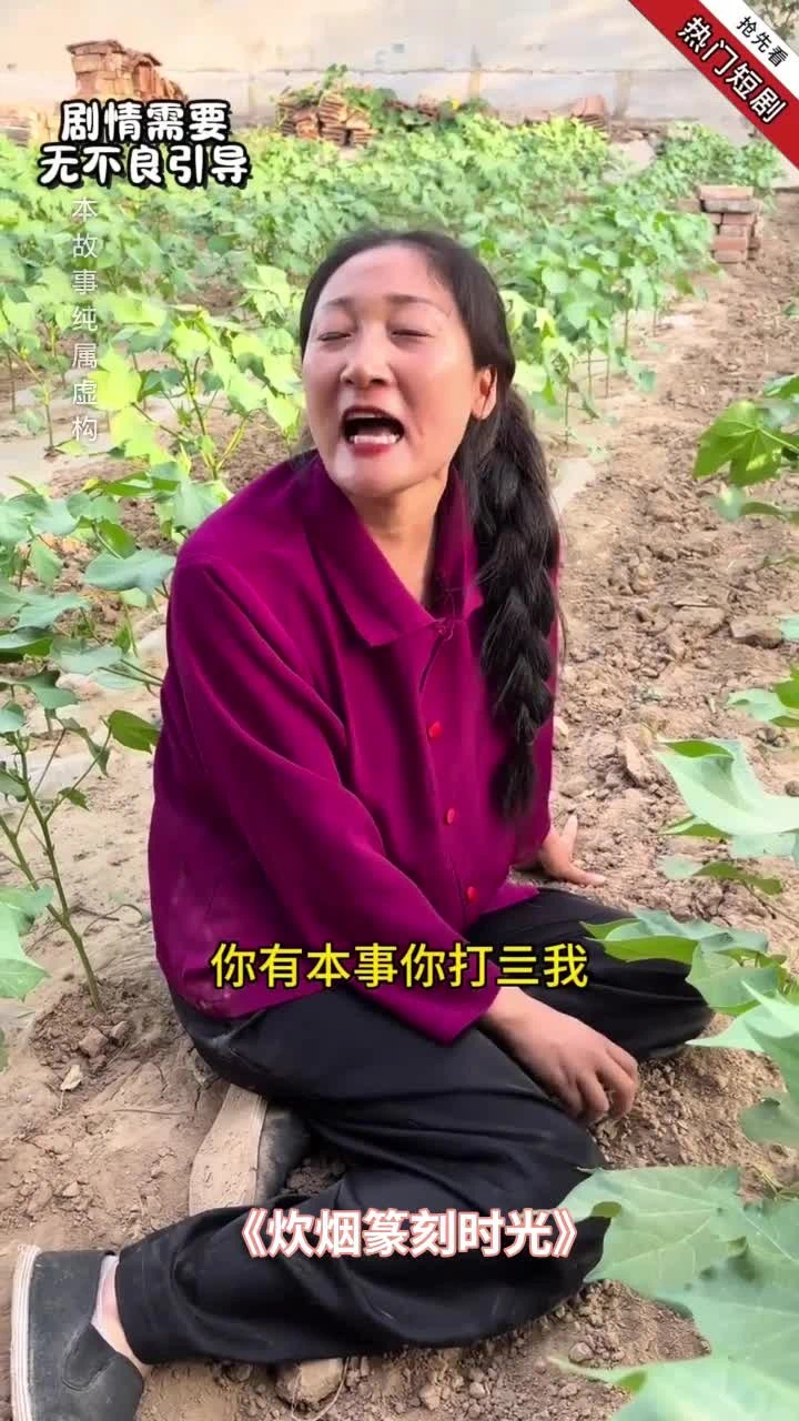 炊烟篆刻时光封面
