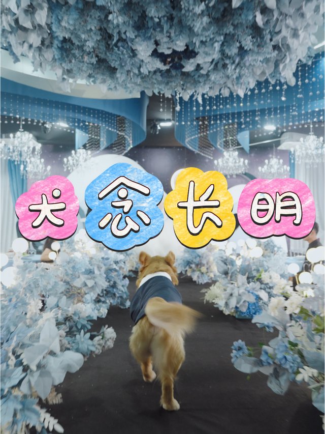 犬念长明封面