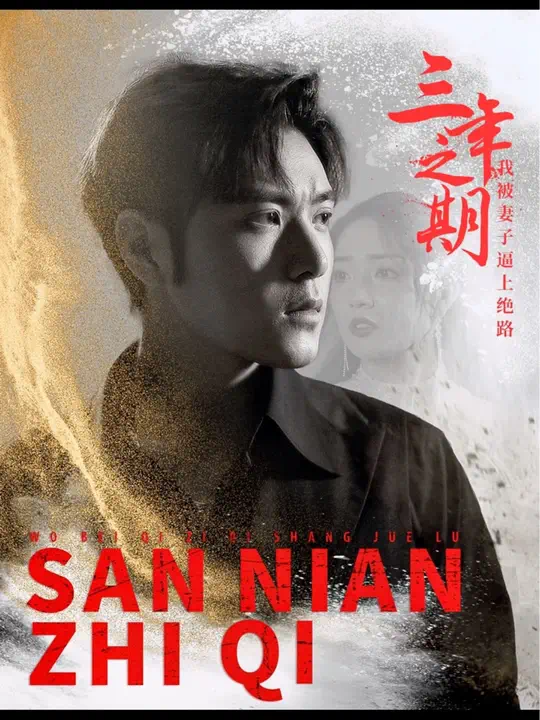 三年之期我被妻子逼上绝路封面