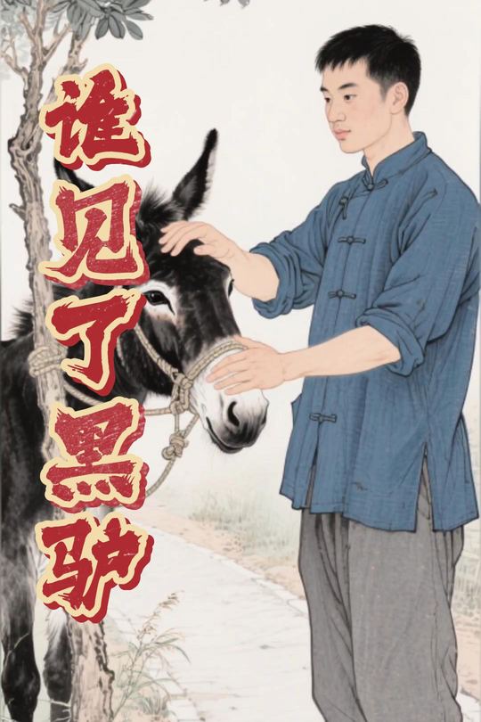 谁见了黑驴封面