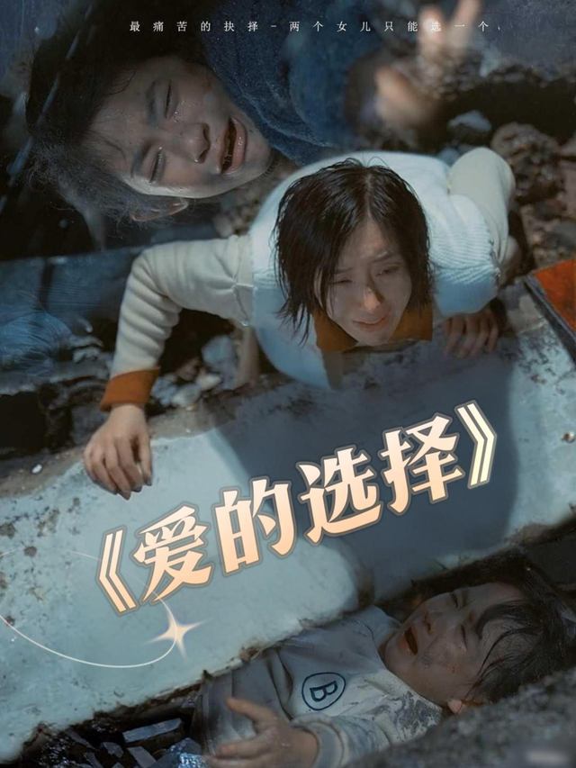 爱的选择封面