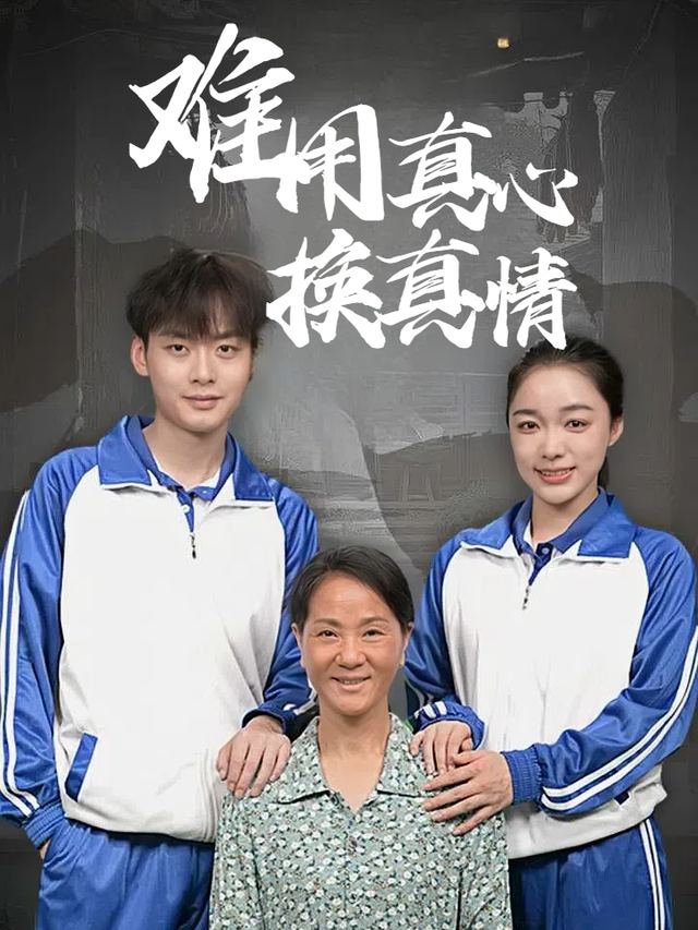 难用真心换真情封面