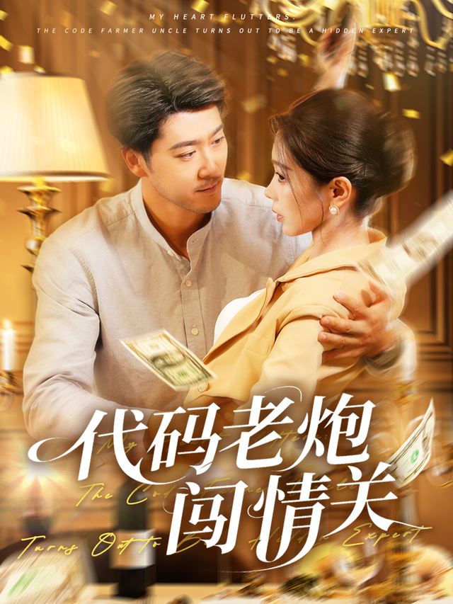 代码老炮闯情关封面