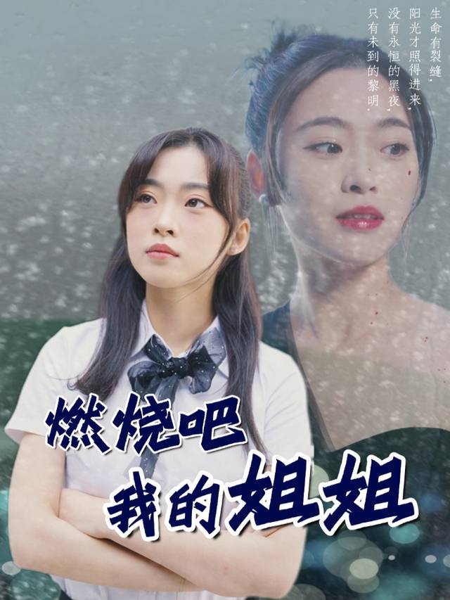 燃烧吧我的姐姐封面
