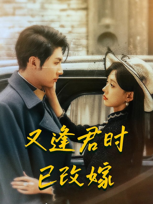 又逢君时已改嫁封面