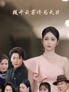 拨开云雾终见天日封面