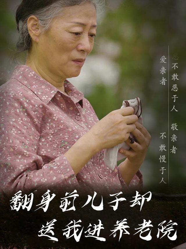 翻身前儿子却送我进养老院封面