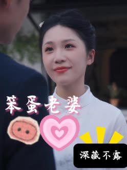 笨蛋老婆深藏不露封面