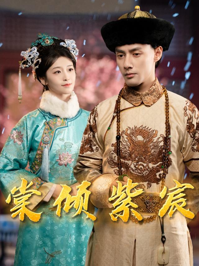棠倾紫宸封面