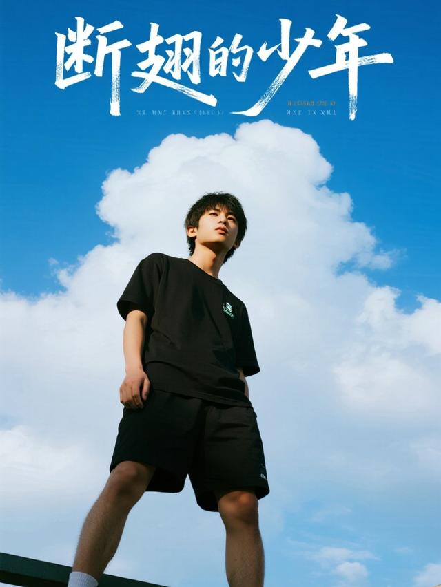 断翅的少年封面