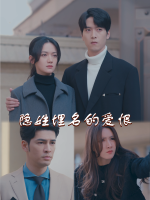 隐姓埋名的爱恨封面