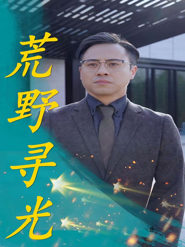 荒野寻光封面