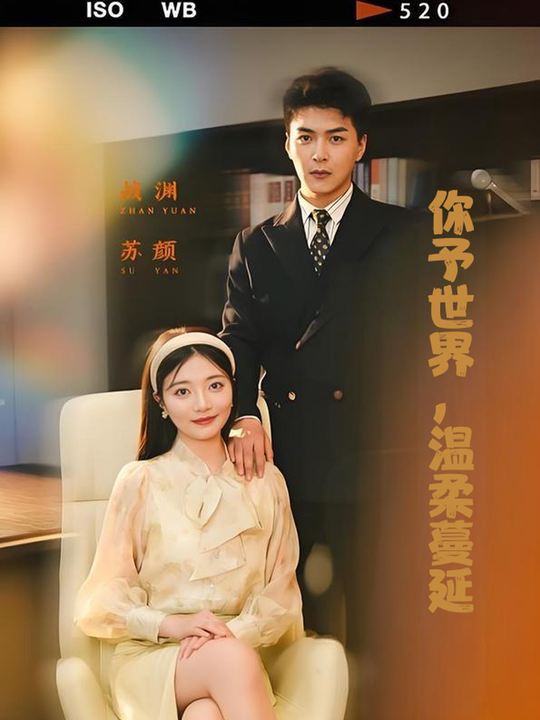 你予世界,温柔蔓延封面
