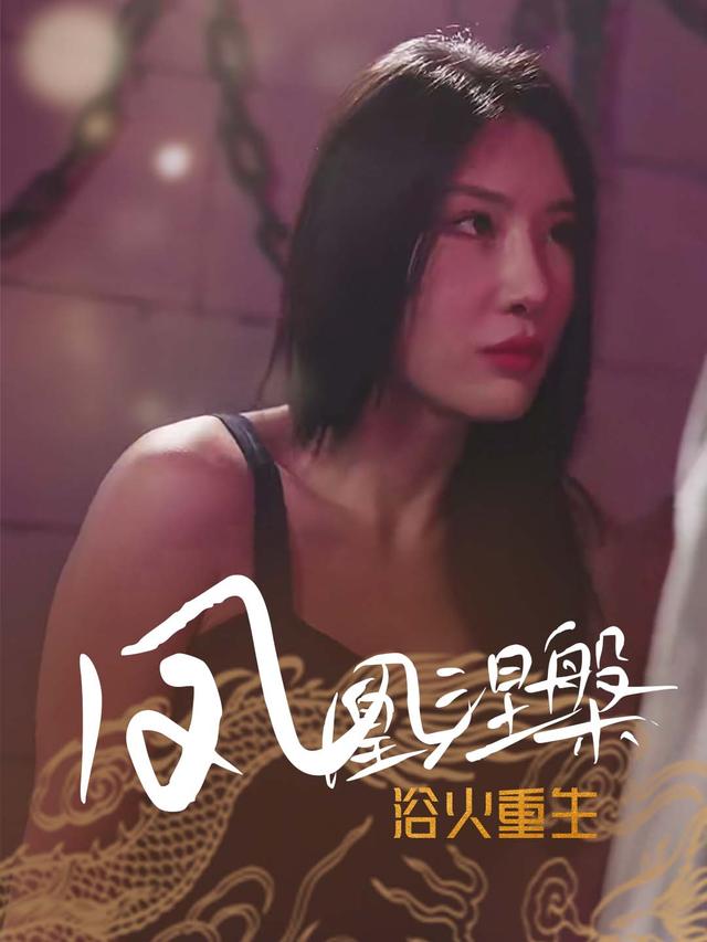 凤凰涅槃,浴火重生封面