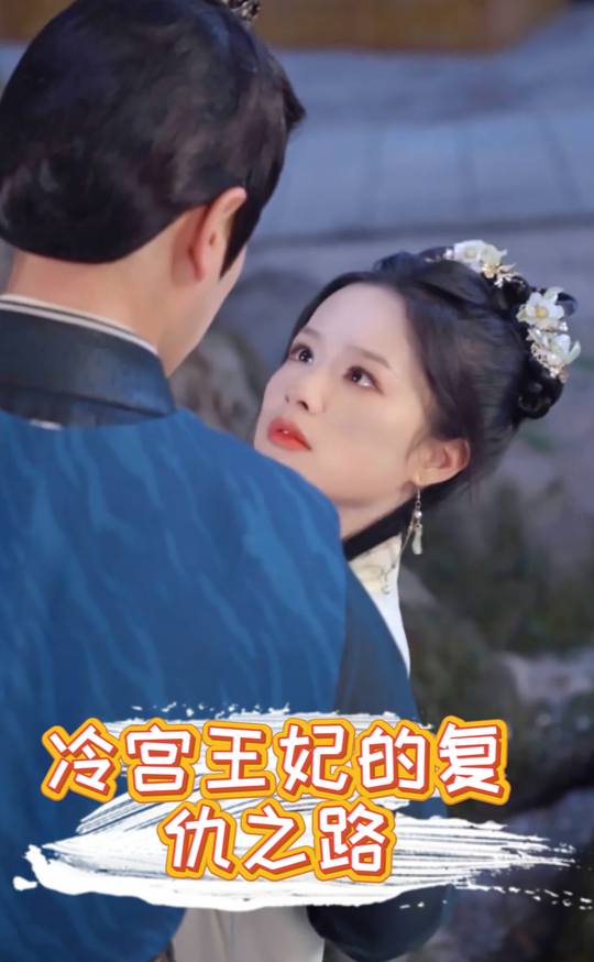 冷宫王妃的复仇之路封面