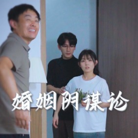 婚姻阴谋论封面
