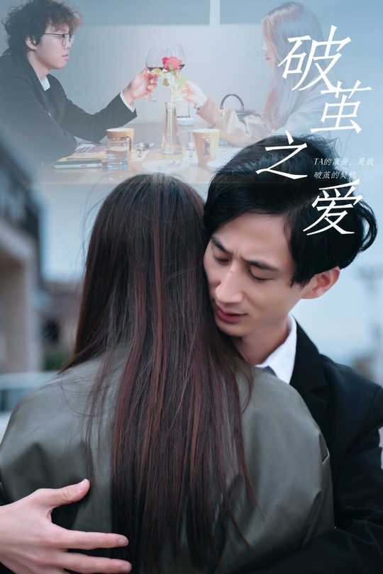 破茧之爱封面