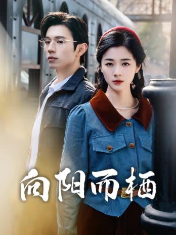 向阳而栖封面
