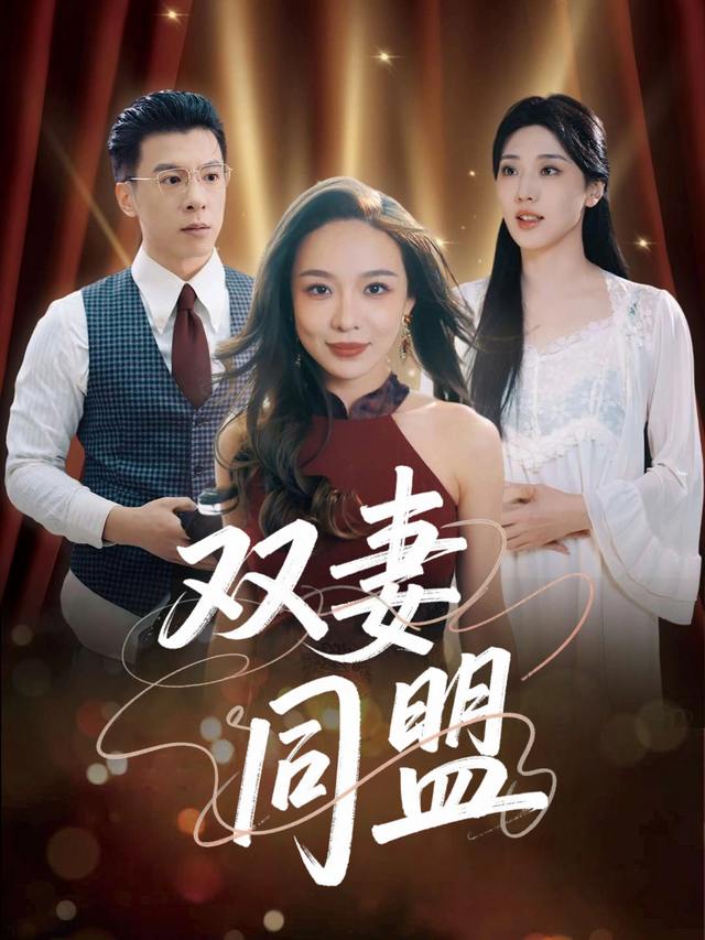 双妻同盟封面