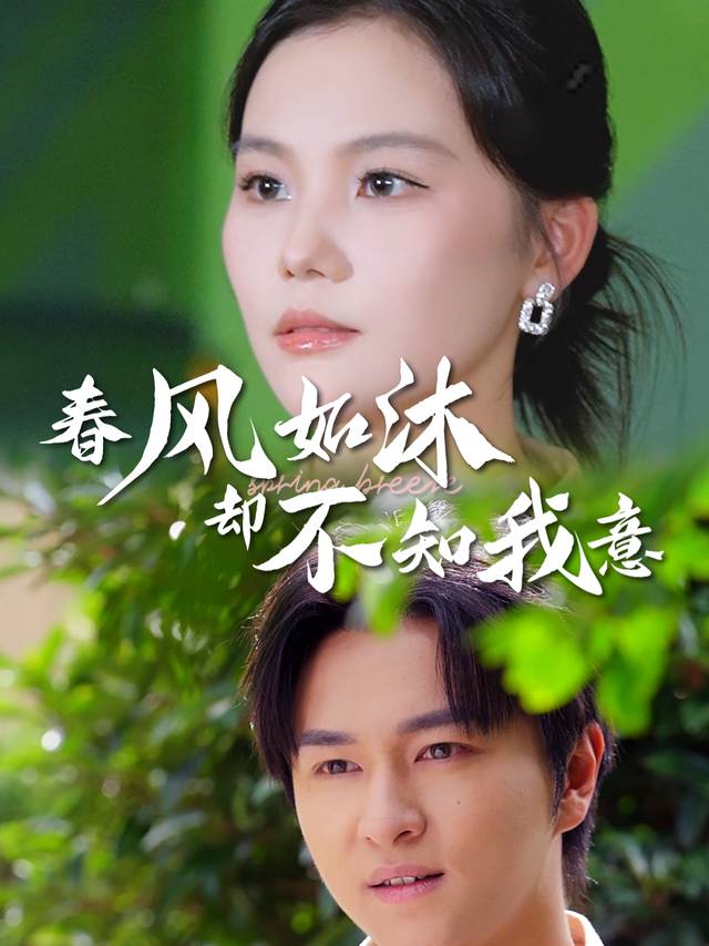 春风如沐,却不知我意封面