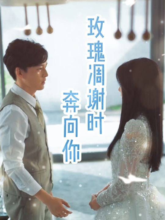 玫瑰凋谢时奔向你封面