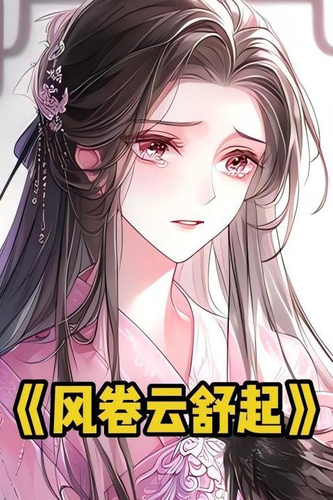 风卷云舒起封面