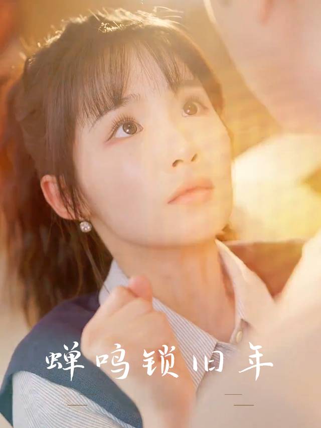 蝉鸣锁旧年封面
