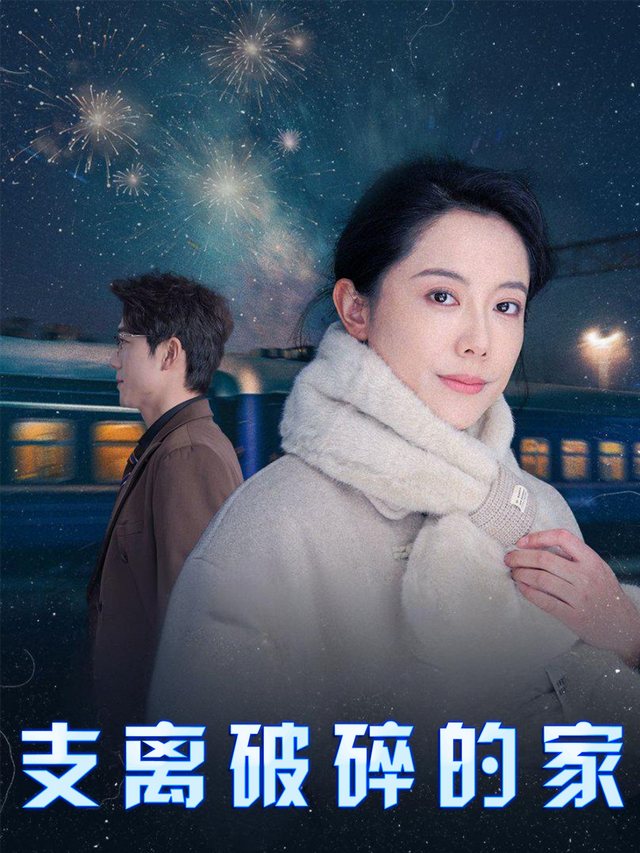 支离破碎的家封面