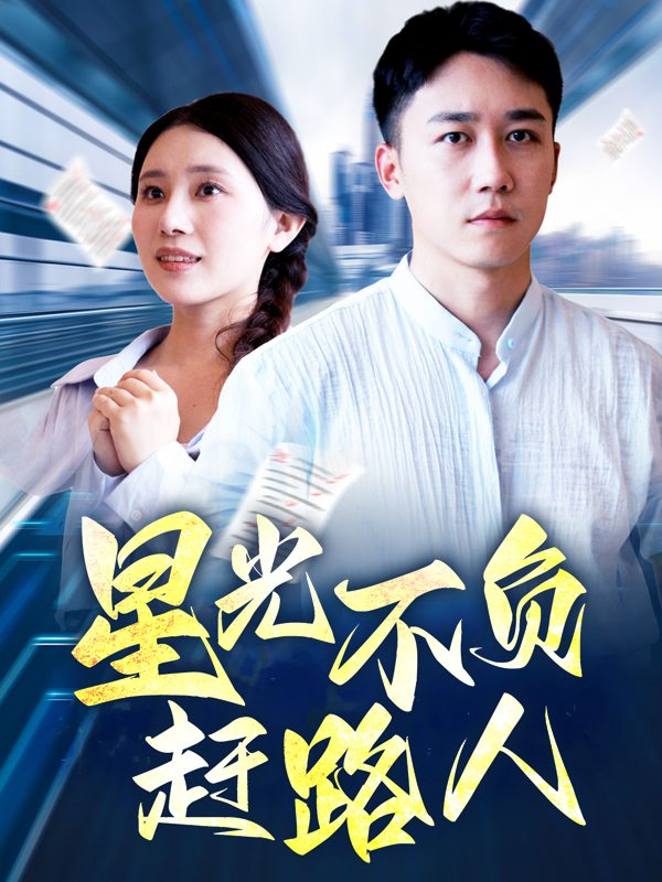 星光不负赶路人封面