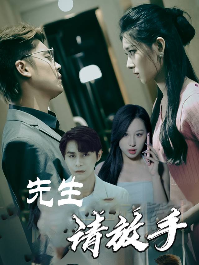 先生请放手封面