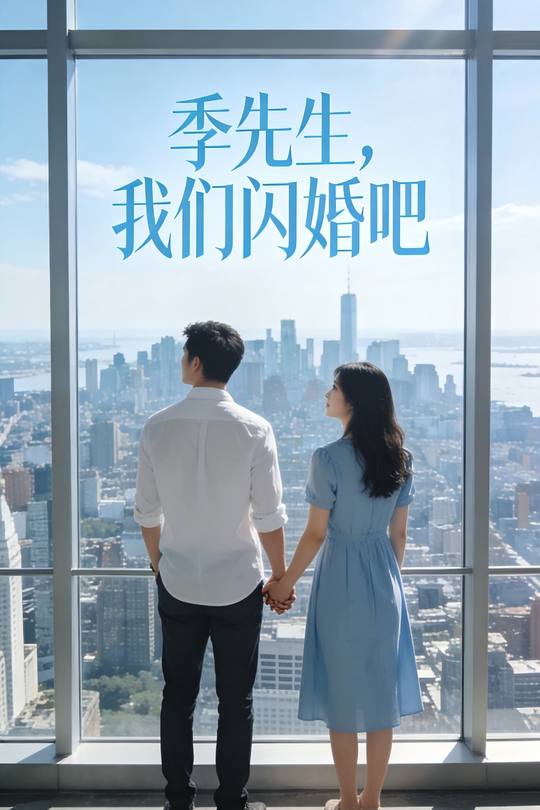 季先生,我们闪婚吧封面