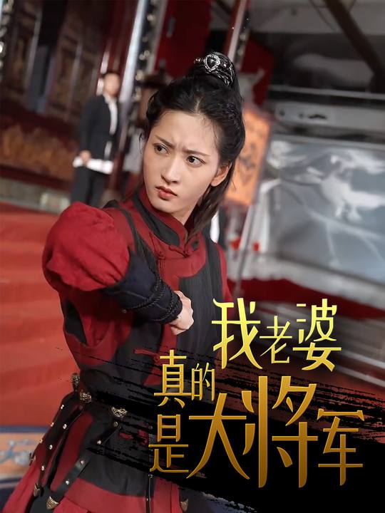 我老婆真的是大将军封面