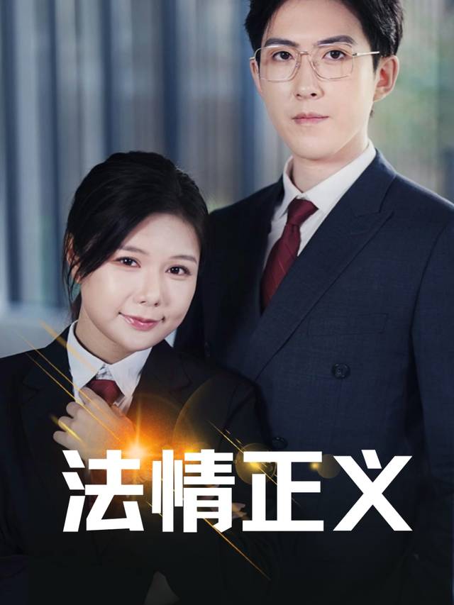 法情正义封面