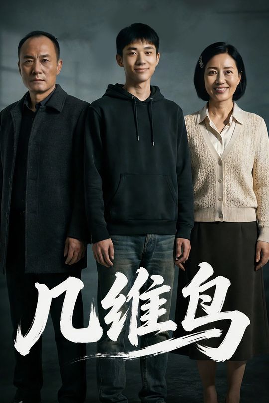 几维鸟封面