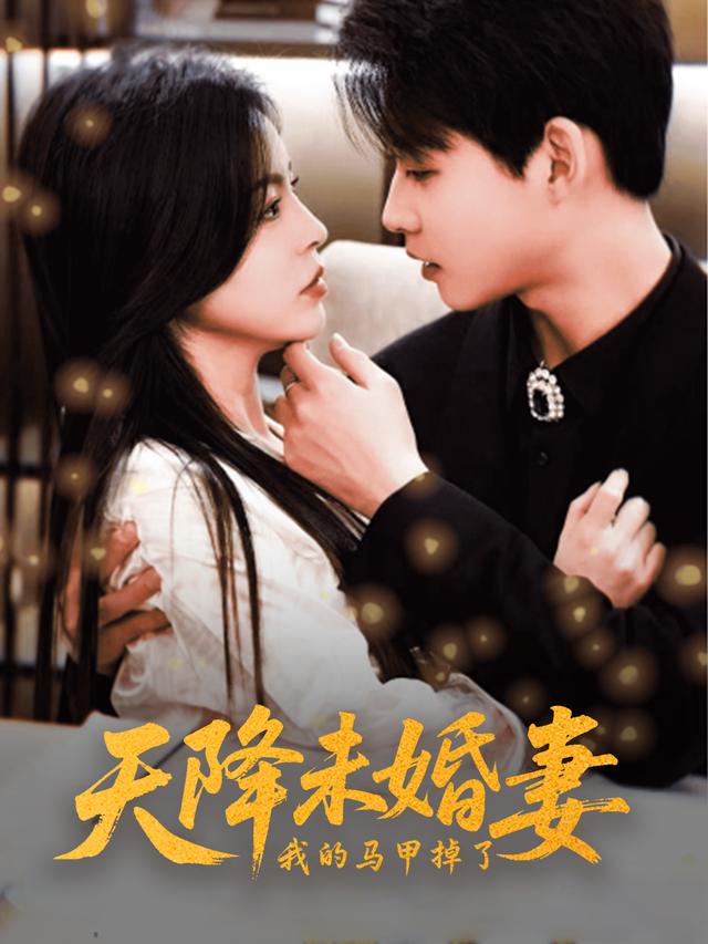 天降未婚妻，我的马甲掉了封面