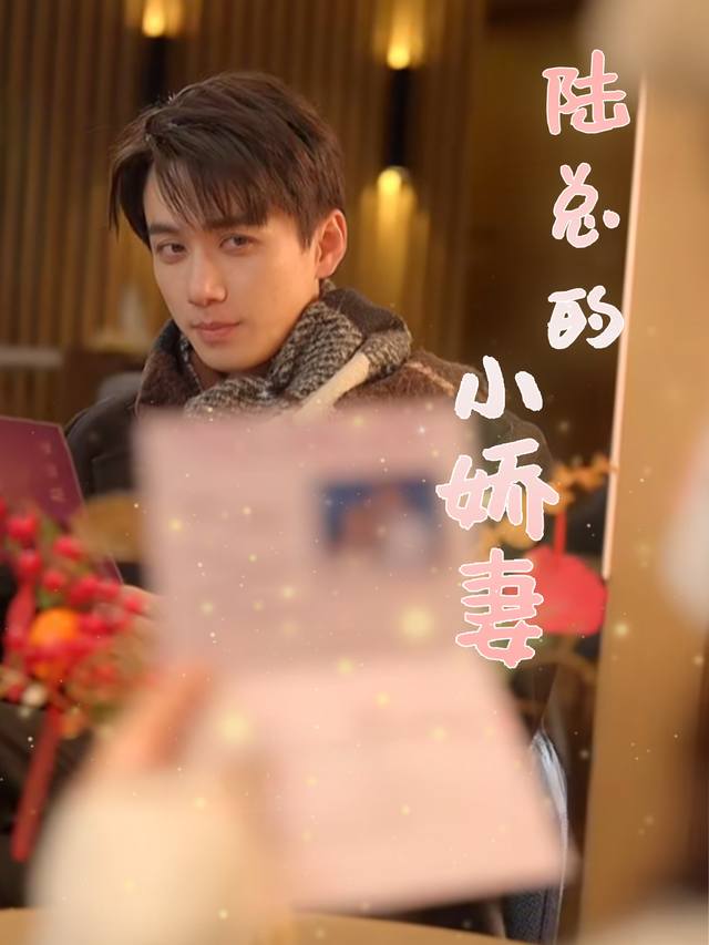陆总的小娇妻封面