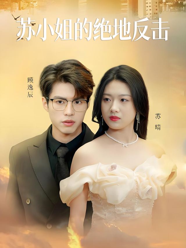 苏小姐的绝地反击封面