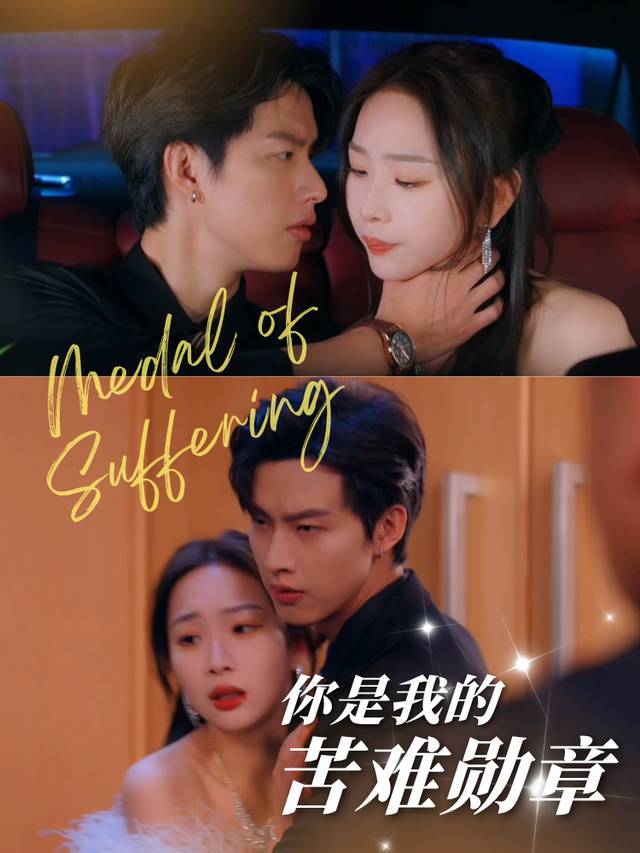 你是我的苦难勋章封面