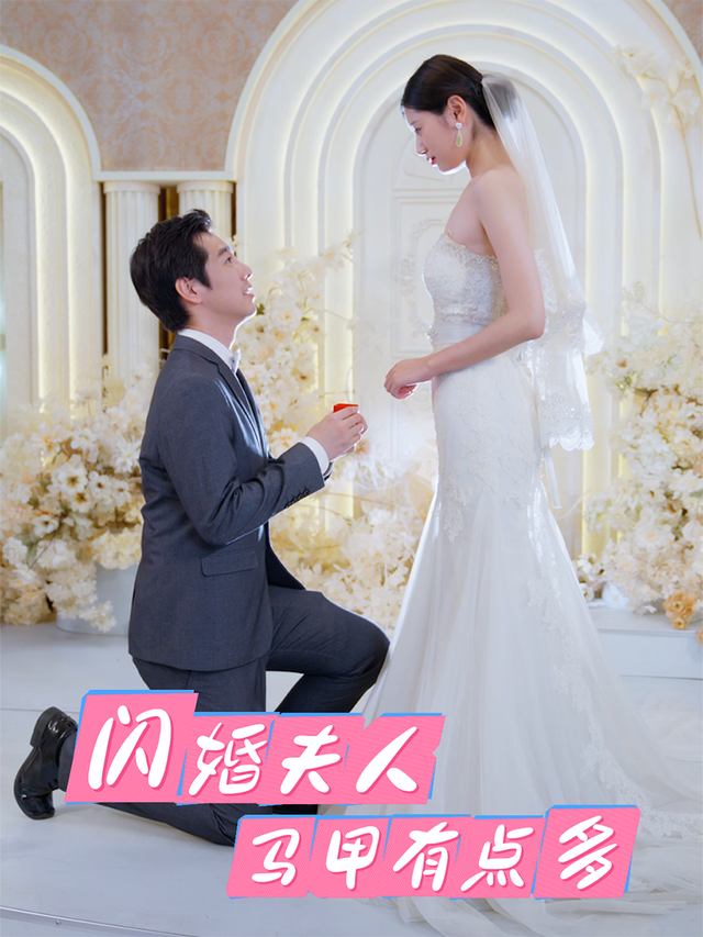闪婚夫夫人马甲有亿点多封面