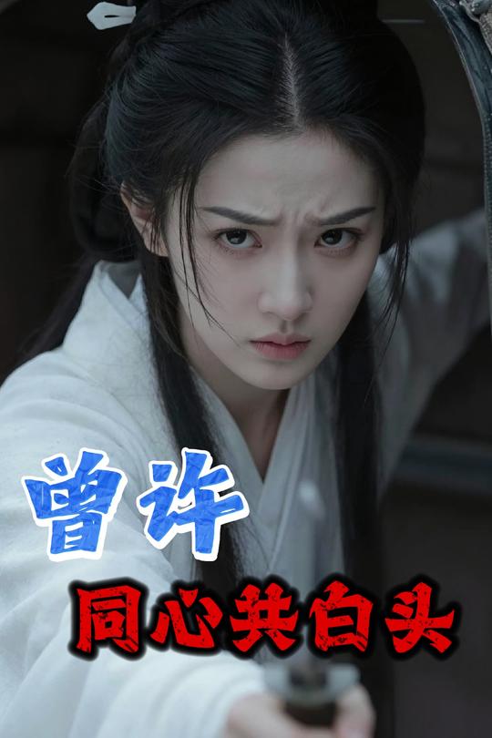 曾许同心共白头封面